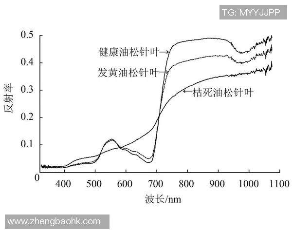 西安排球队防守策略分析及其对比赛结果的影响探讨